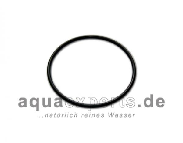 O-Ring Filtergehäuse ValueLine